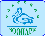 Одесский зоопарк: время работы, адрес, контакты, стоимость билетов