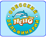 Время работы Одесского дельфинария 