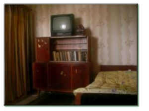 1-bedroom apartment in Yuzhny